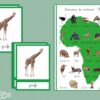 Animaux du continent Afrique