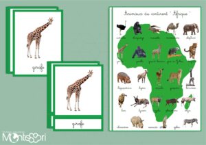 Animaux du continent Afrique