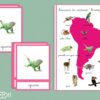 Animaux du continent Amérique du Sud