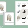 Animaux du continent Arctique