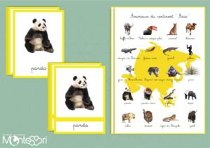 Animaux du continent Asie