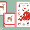 Animaux du continent Europe