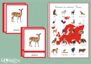 Animaux du continent Europe