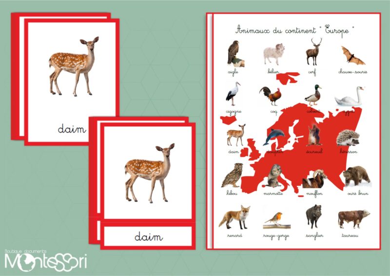 Animaux du continent Europe
