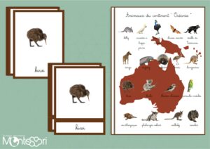 Animaux du continent Océanie