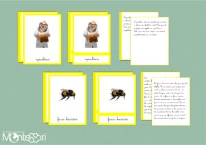 Le miel & les abeilles