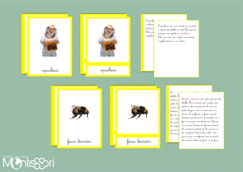 Le miel & les abeilles