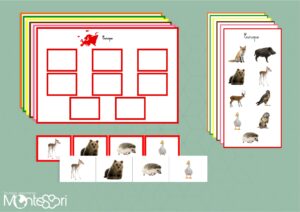 Animaux des continents