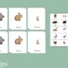Familles des animaux