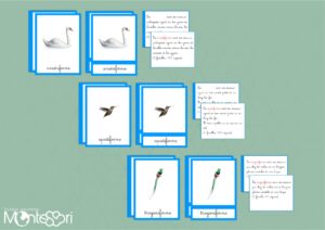 Ordres des oiseaux