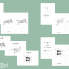 Pack coloriage arthropodes