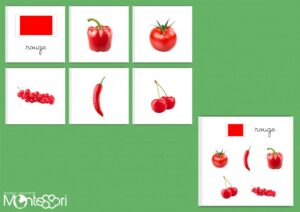 Couleurs & aliments végétaux