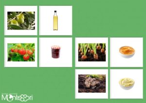 Association végétal & aliment