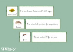 Association animal & phrase