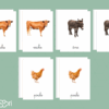 Images classifiées animaux de la ferme