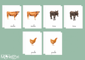 Images classifiées animaux de la ferme