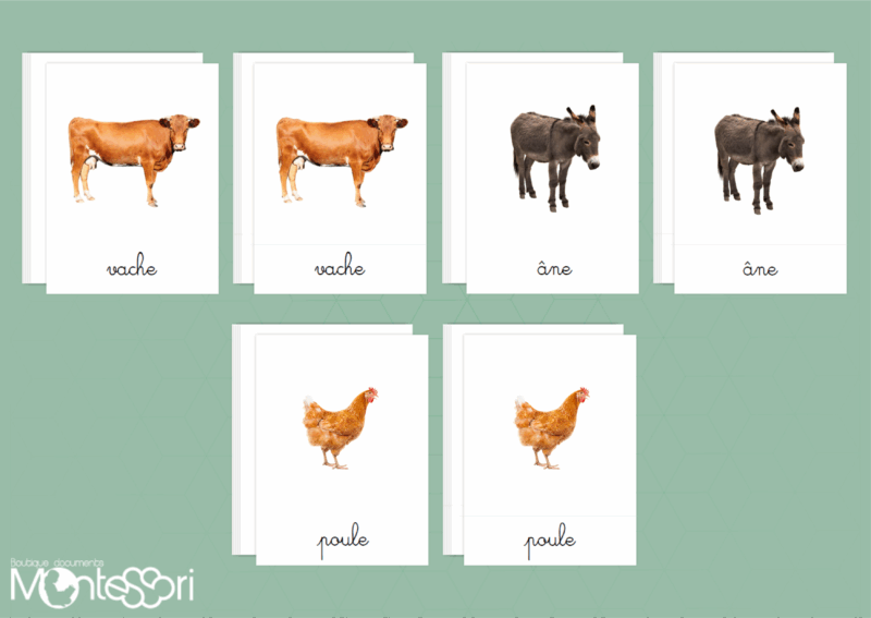 Images classifiées animaux de la ferme