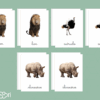 Images classifiées animaux de la savane