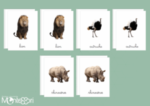 Images classifiées animaux de la savane