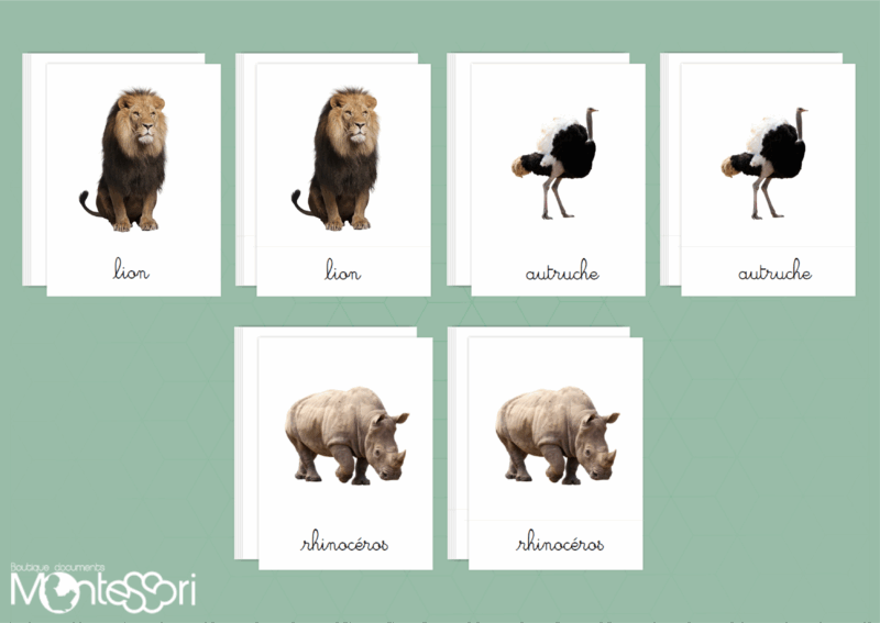 Images classifiées animaux de la savane