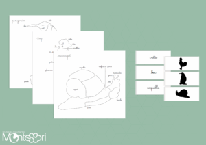 Cartes puzzles zoologie 2