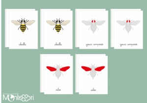 Images classifiées puzzle abeille - rouge
