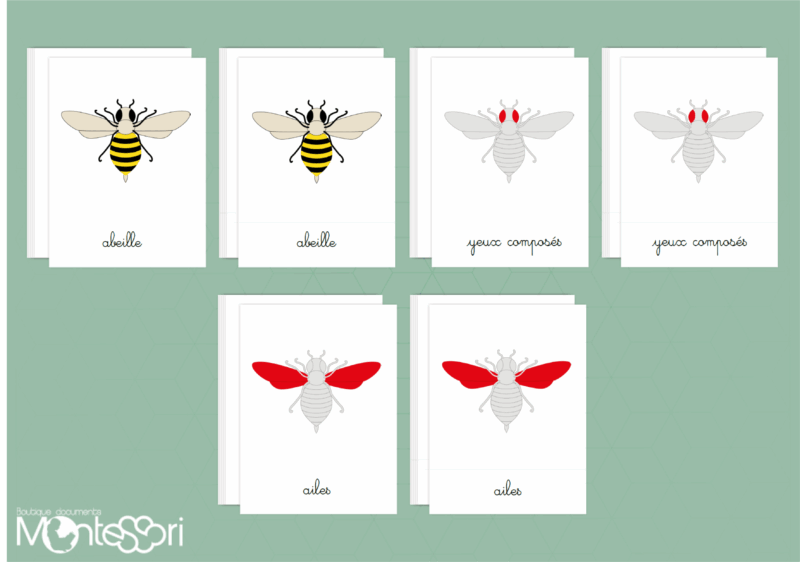 Images classifiées puzzle abeille - rouge