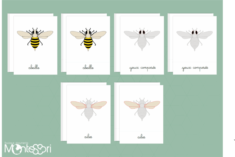 Images classifiées puzzle abeille