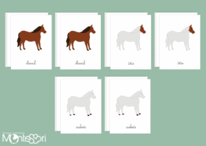 Images classifiées puzzle cheval