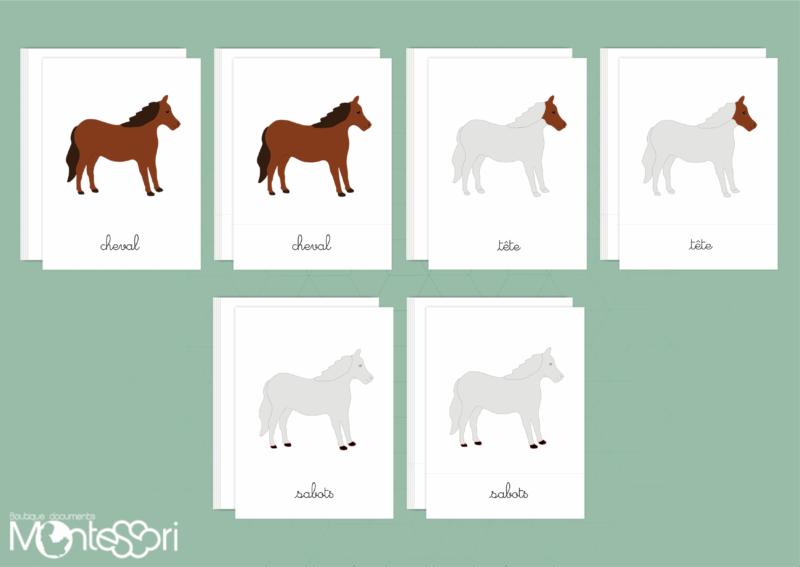 Images classifiées puzzle cheval