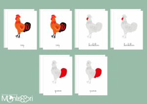 Images classifiées puzzle coq - rouge