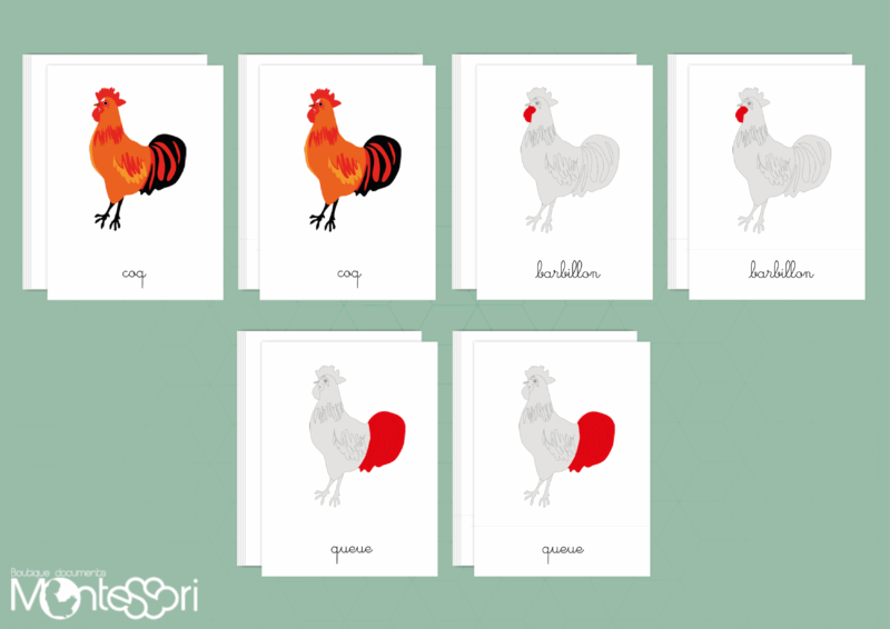 Images classifiées puzzle coq - rouge