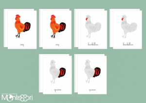 Images classifiées puzzle coq