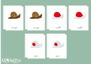Images classifiées puzzle escargot - rouge