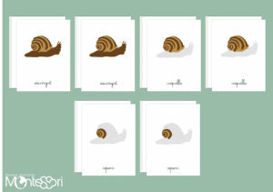 Images classifiées puzzle escargot