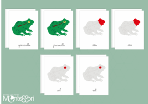 Images classifiées puzzle grenouille - rouge