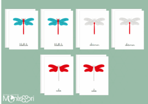 Images classifiées puzzle libellule - rouge