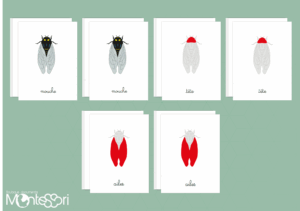 Images classifiées puzzle mouche - rouge