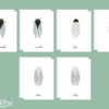 Images classifiées puzzle mouche