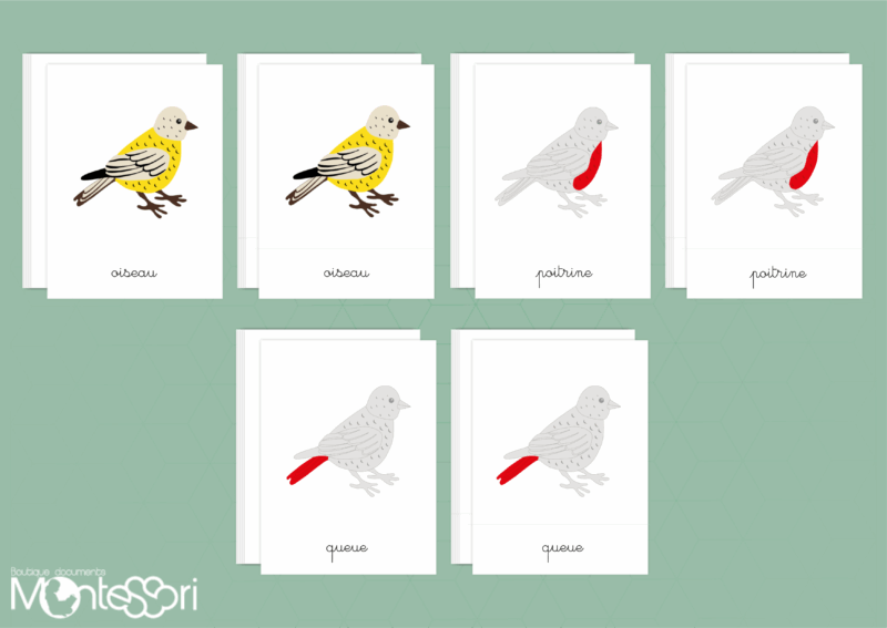 Images classifiées puzzle oiseau - rouge