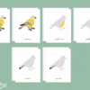 Images classifiées puzzle oiseau