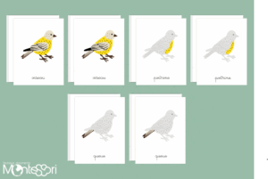 Images classifiées puzzle oiseau