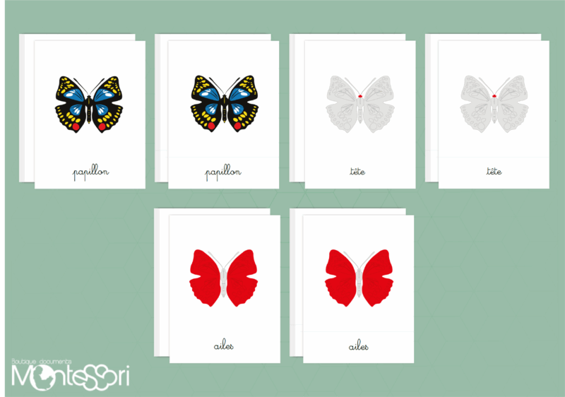 Images classifiées puzzle papillon - rouge