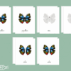 Images classifiées puzzle papillon