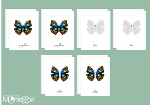 Images classifiées puzzle papillon