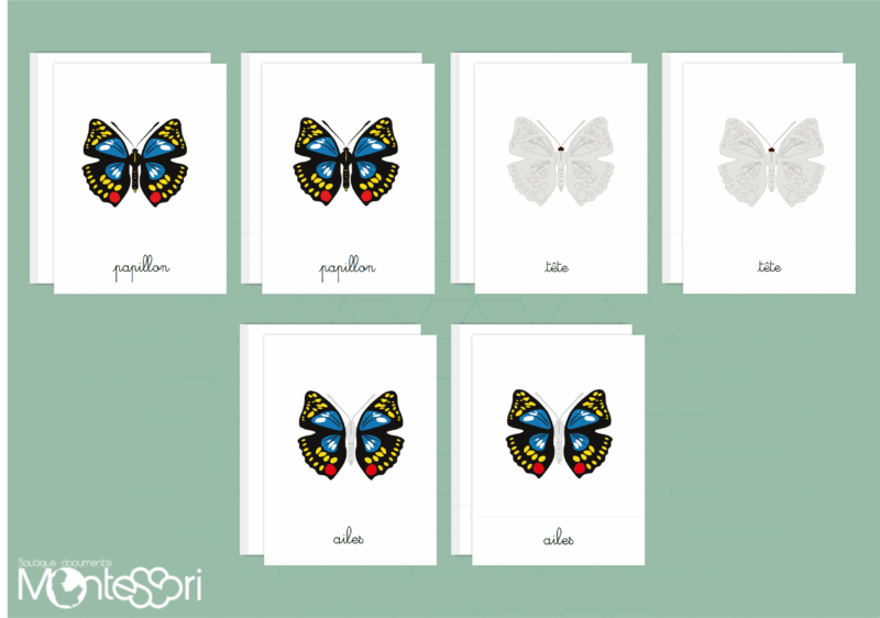 Images classifiées puzzle papillon
