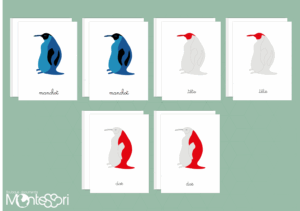 Images classifiées puzzle manchot - rouge