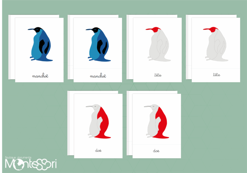 Images classifiées puzzle manchot - rouge