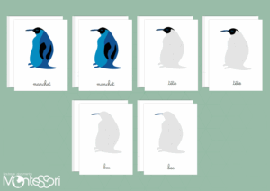 Images classifiées puzzle manchot