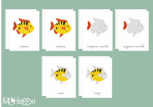 Images classifiées puzzle poisson